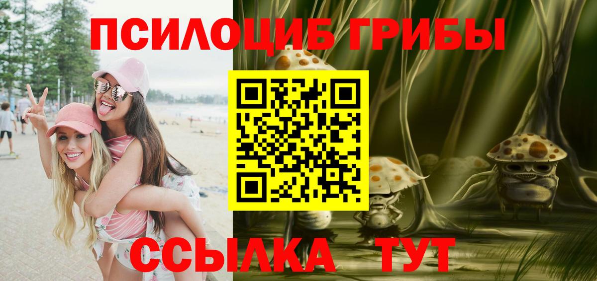 где можно купить   Вход с VPN  Новороссийск  Галлюциногенные грибы прущие грибы 